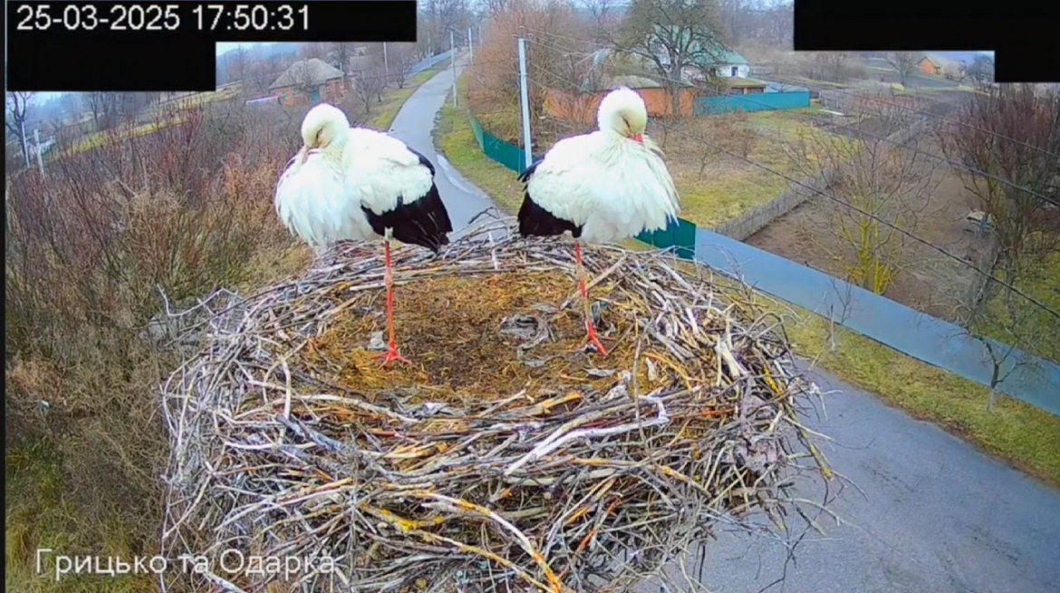 Грицько и Одарка