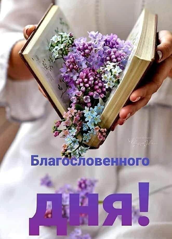 Не ценим жизнь