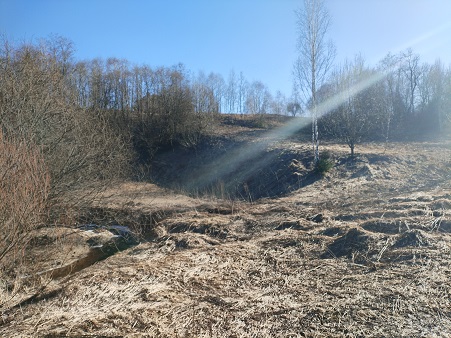 2025г. Болезнь даётся в наказание. 1250