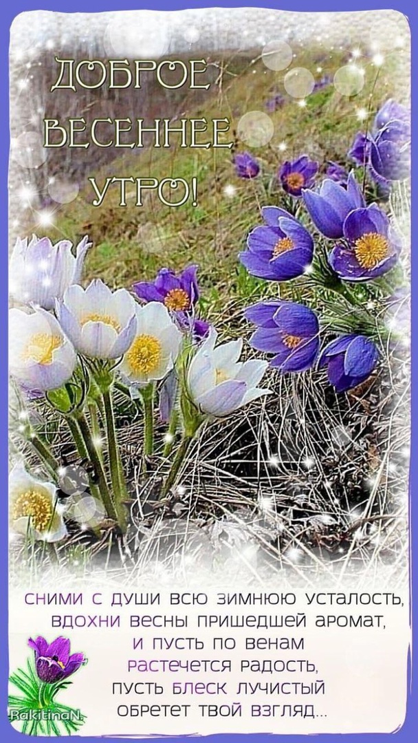 28 марта. Весна, как много в слове этом...