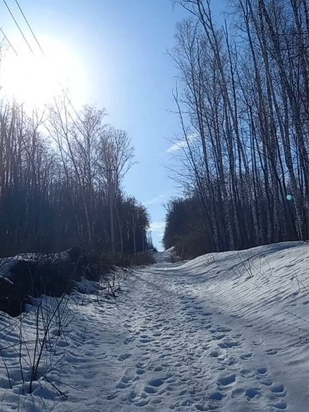 Весенняя зарисовка 1