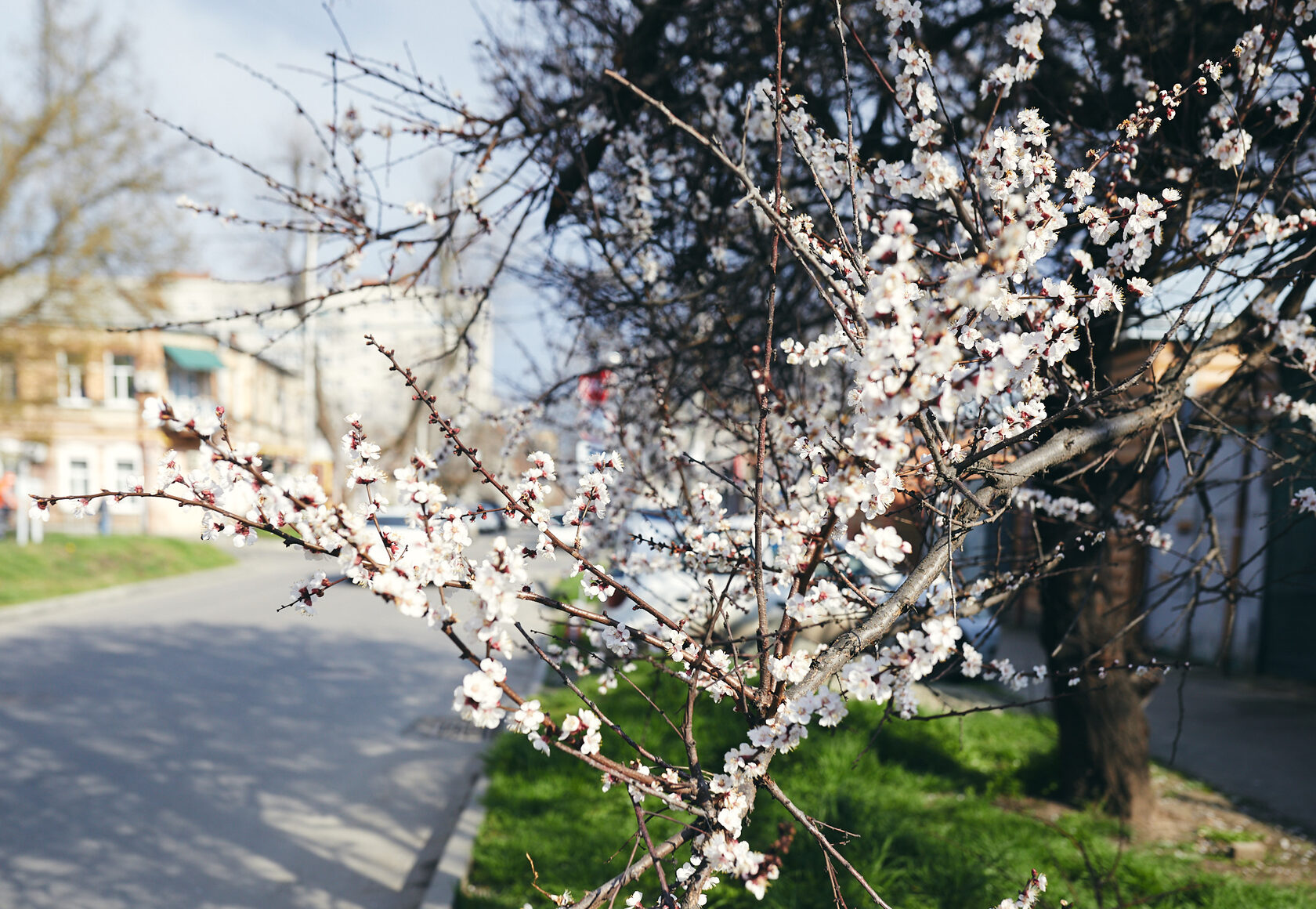 Весны приятные моменты