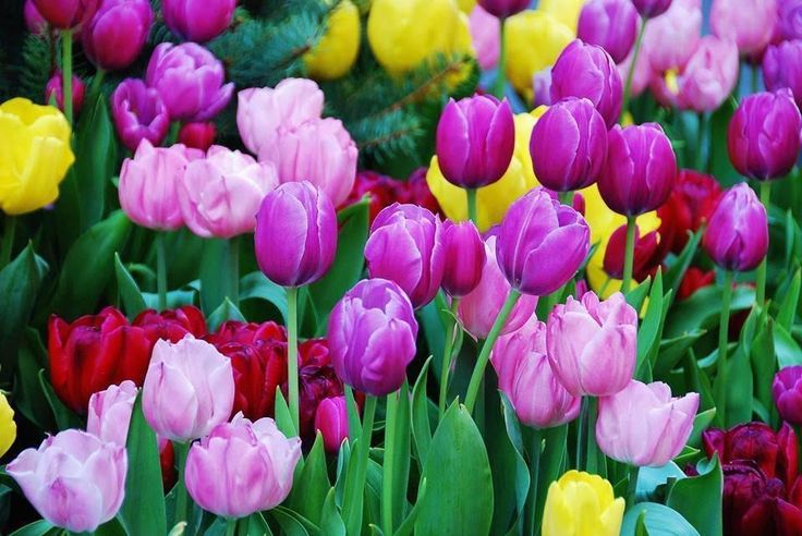 Моим друзьям 498