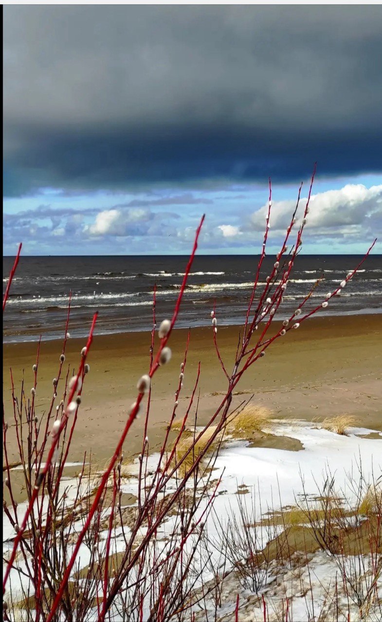 Мартовская зарисовка 2