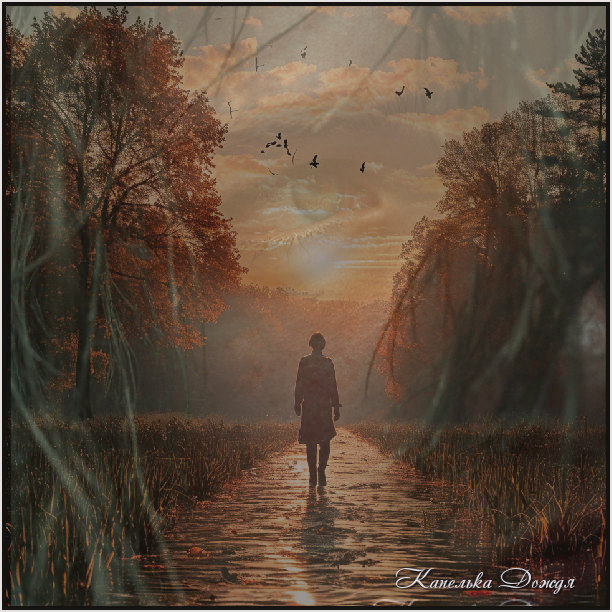 Случайный роман