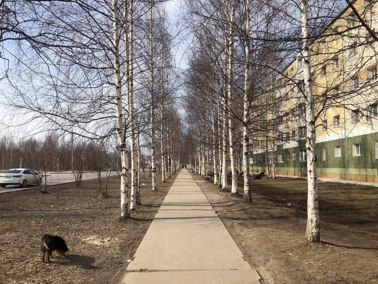 Ураю к шестидесятилетию