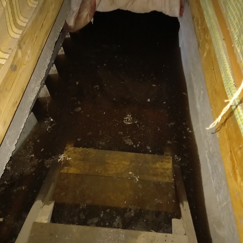 Был бы здесь и оптимизм