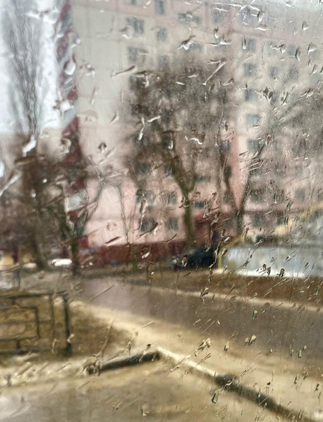 Весенний дождь