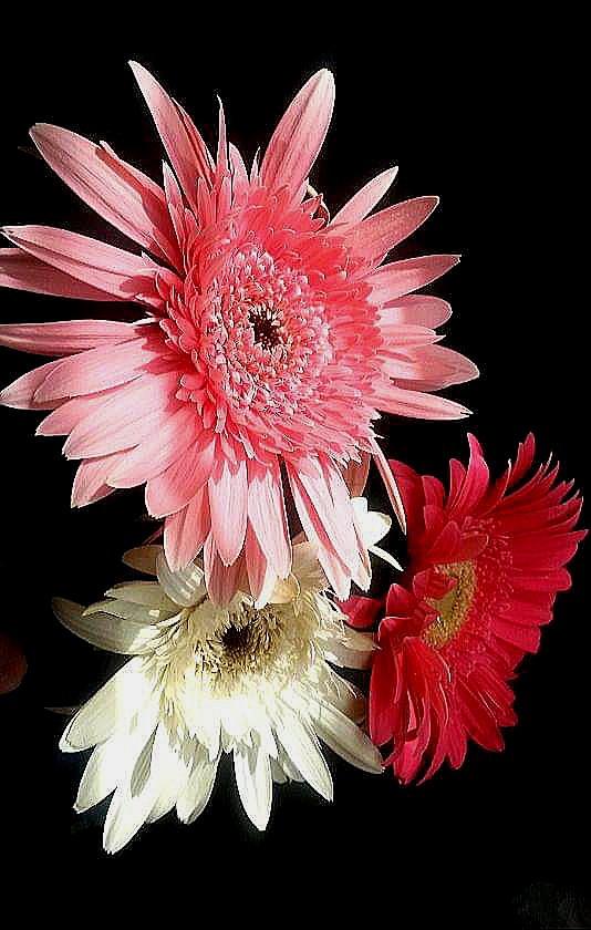 Прекрасное