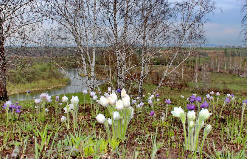 В весенний час