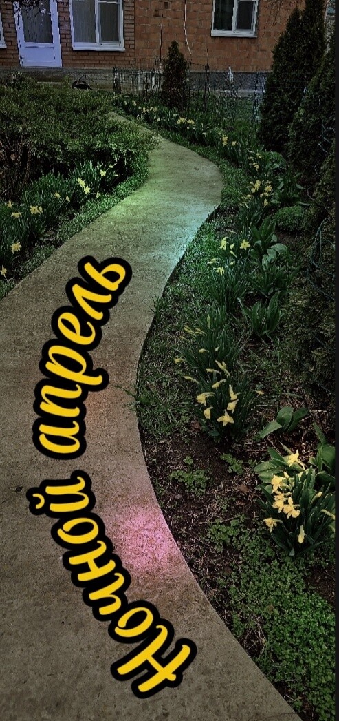 Ночной апрель