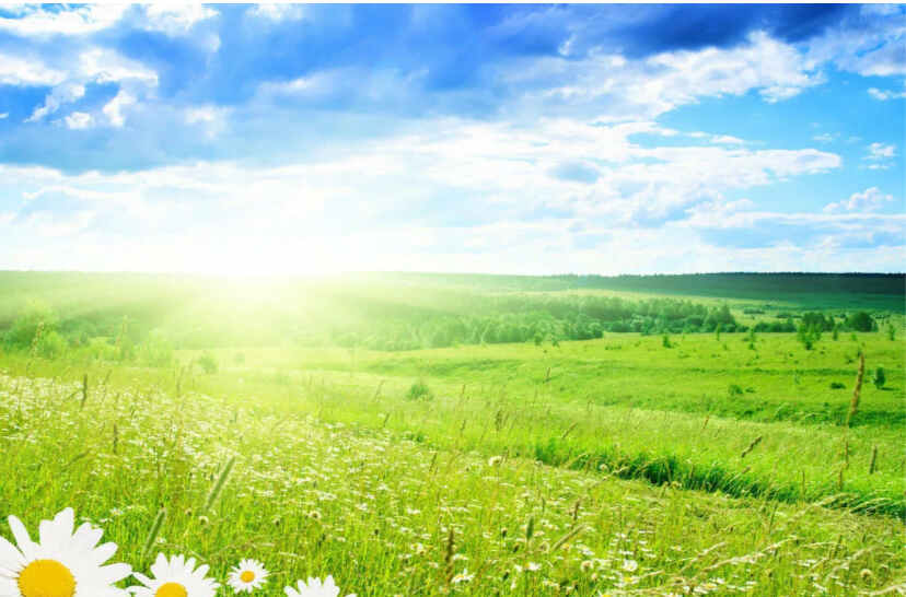 Счастье бродит по планете