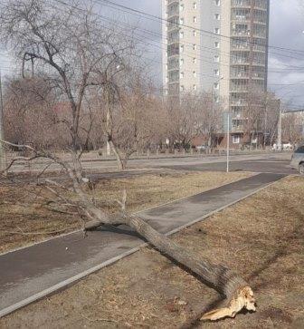 Ураган II. Он неожиданно нагрянул прямо с ночи