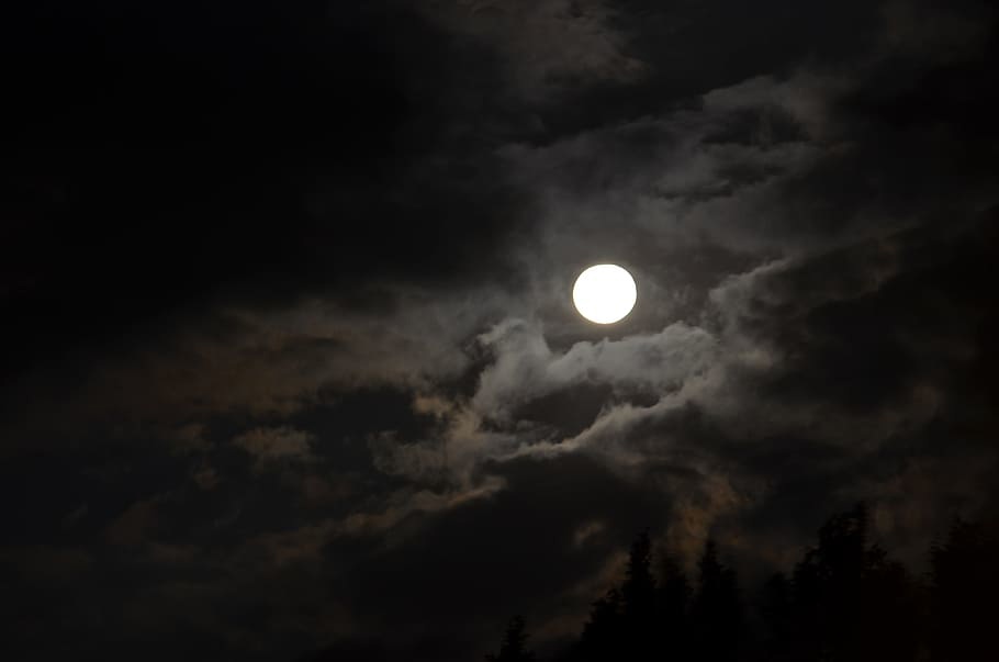 Полнолуние