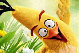 Смеху-то всего минутка