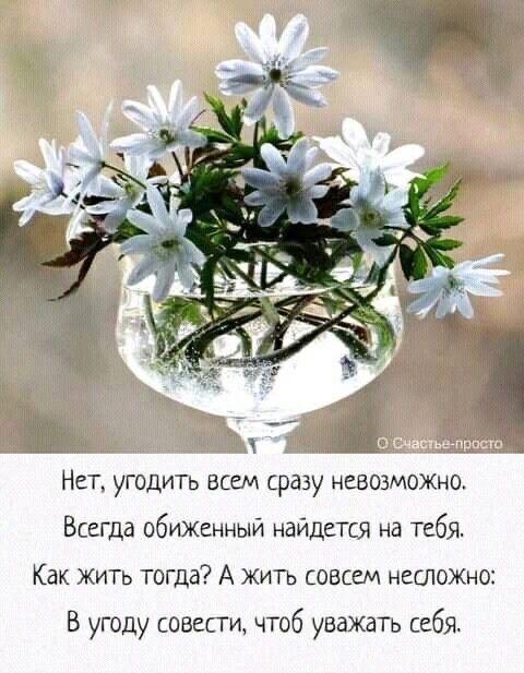 7 апреля. Мысли и чувства вслух