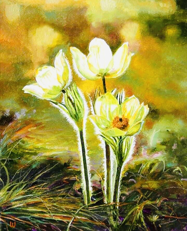 Подснежник