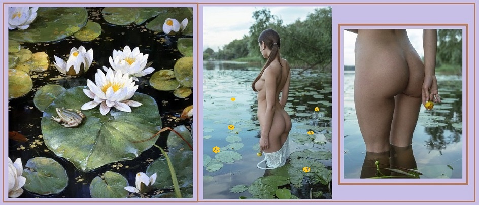 Одни кувшинки? - Лилий нет?