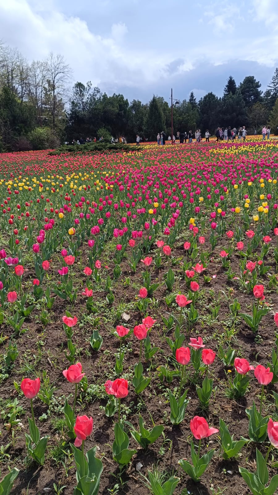 Праздник весны