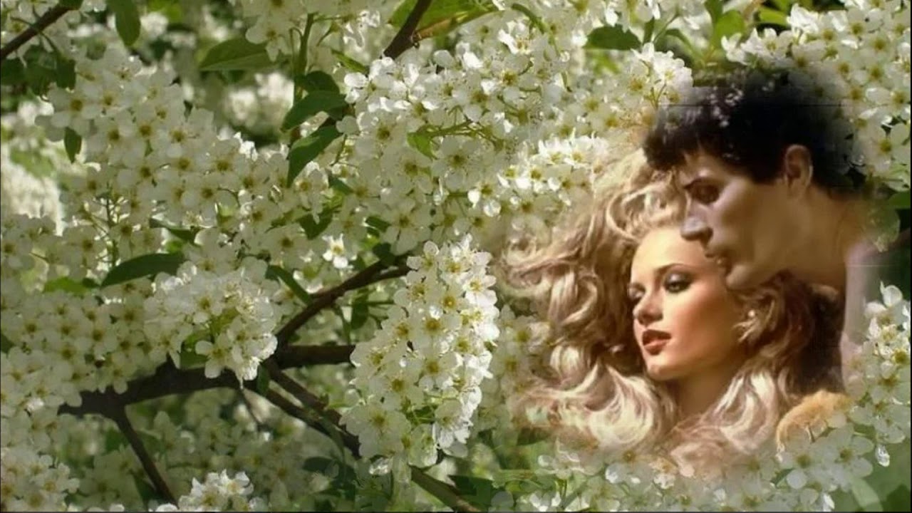 Приходила весна