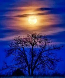 Весенняя Луна