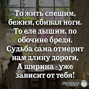 Сожалею об одном. Мысли вслух