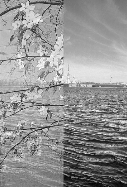 С зимой на брудершафт...