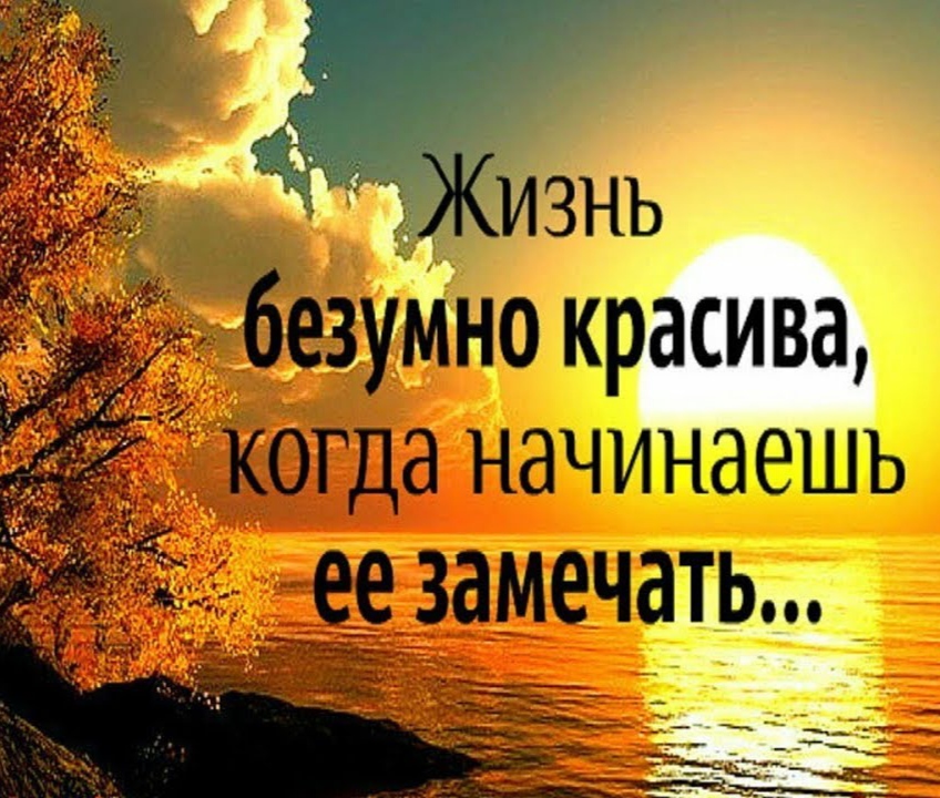 Жизнь безумно красива...