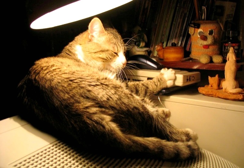 На газовой конфорке белый чайник...