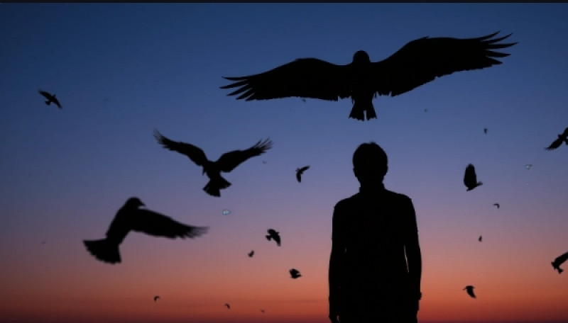 Сумраки души