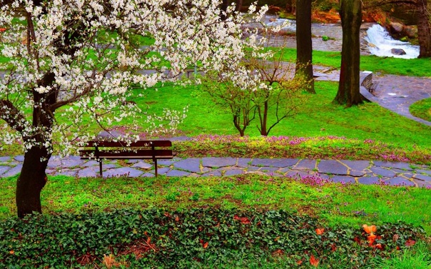 Молодой одевается дымкой