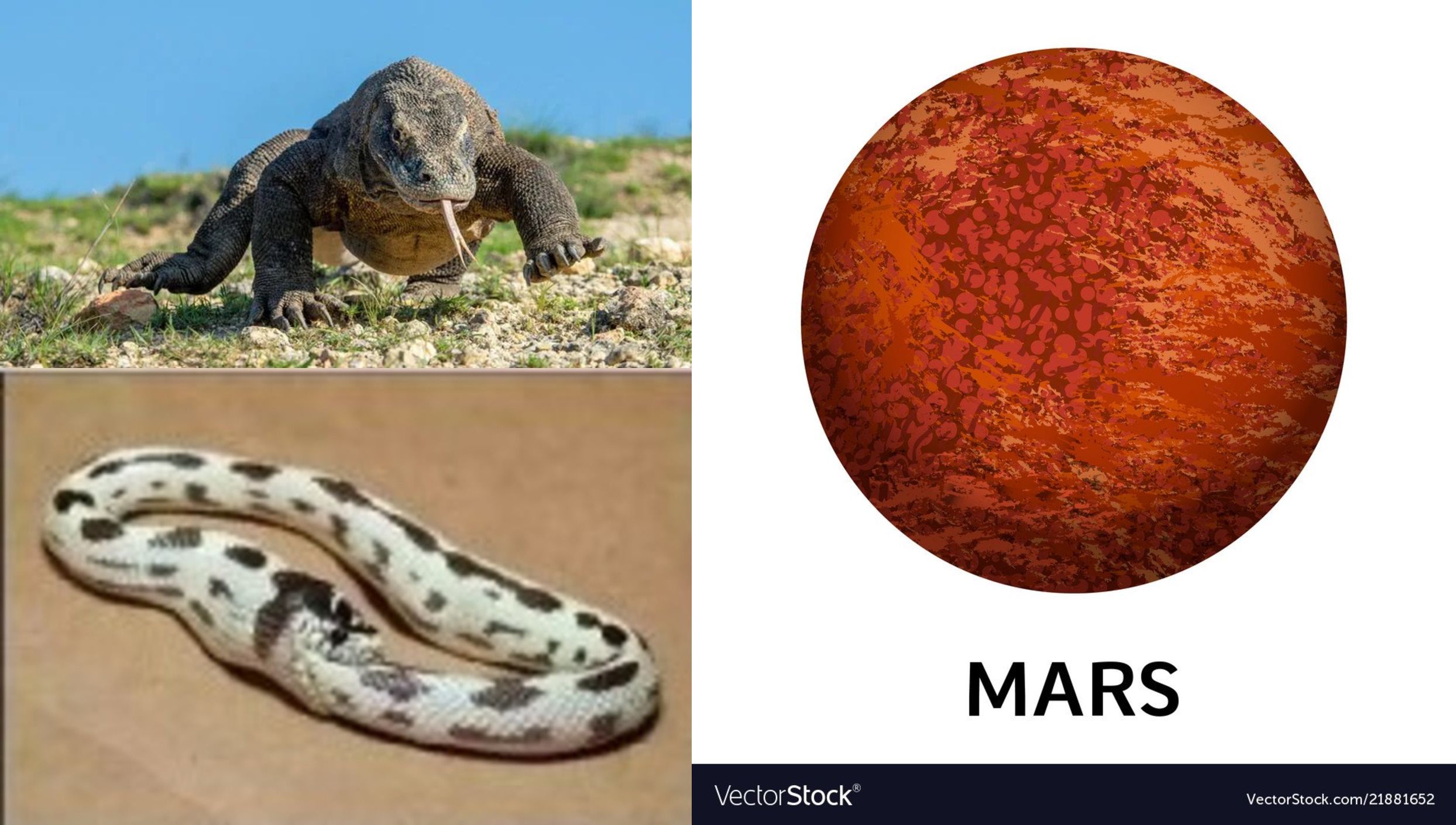 Повседневный джи хан гад