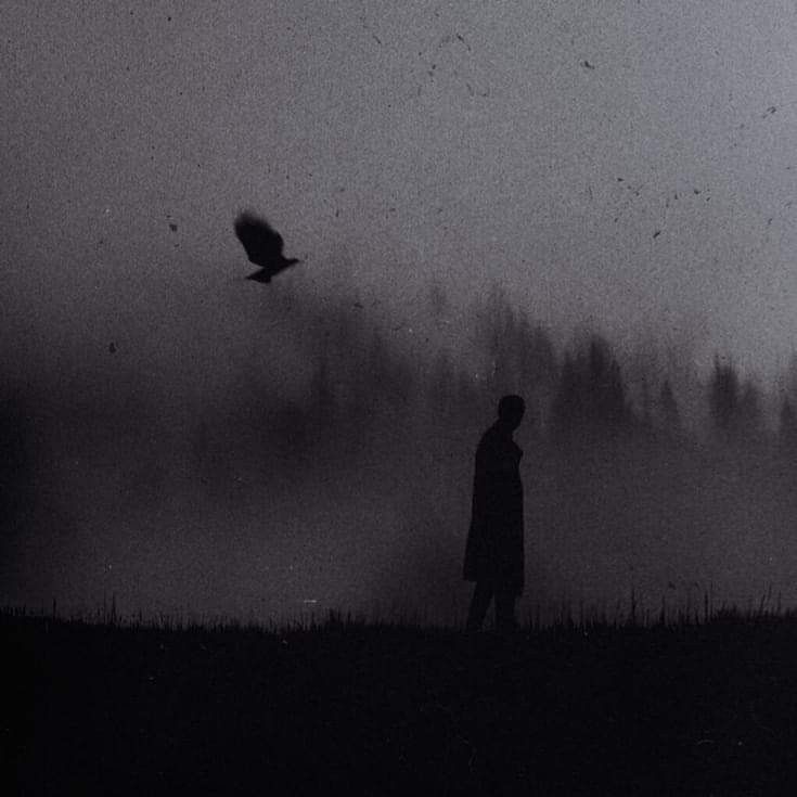 Знак ворона