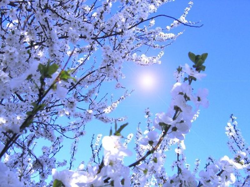 Уходит зимняя хандра...