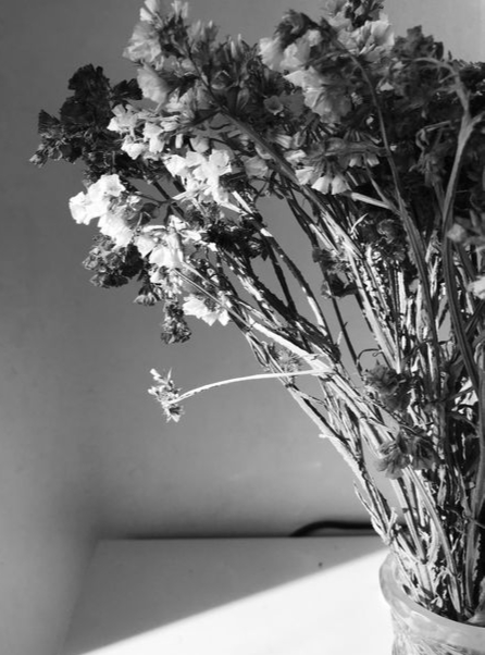 Вот и снега навяжет зима