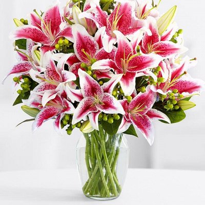 У нас дружная семья