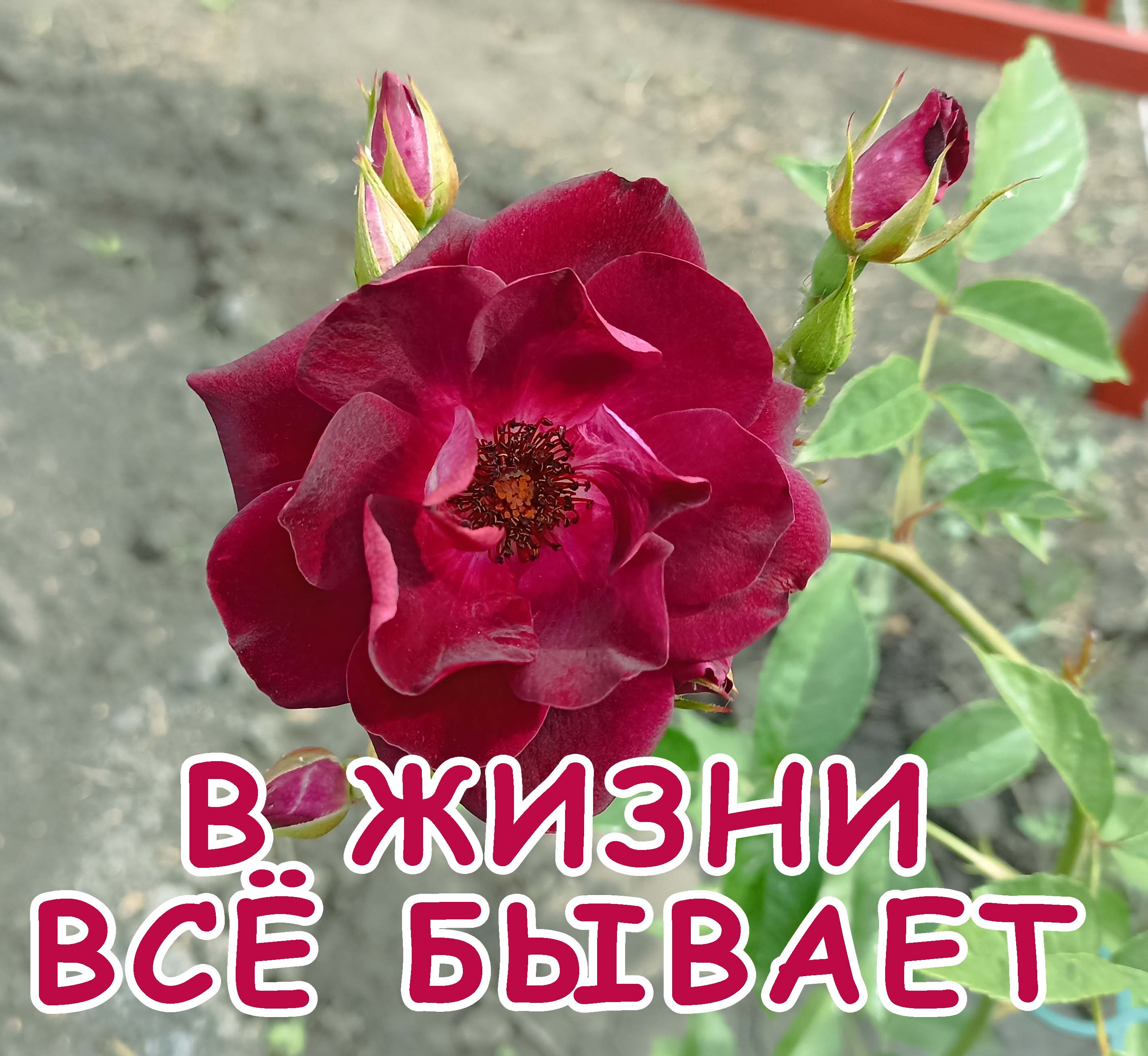 Ты такой далёкий