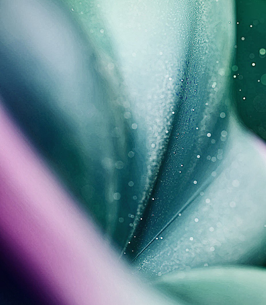 Апрельское утро