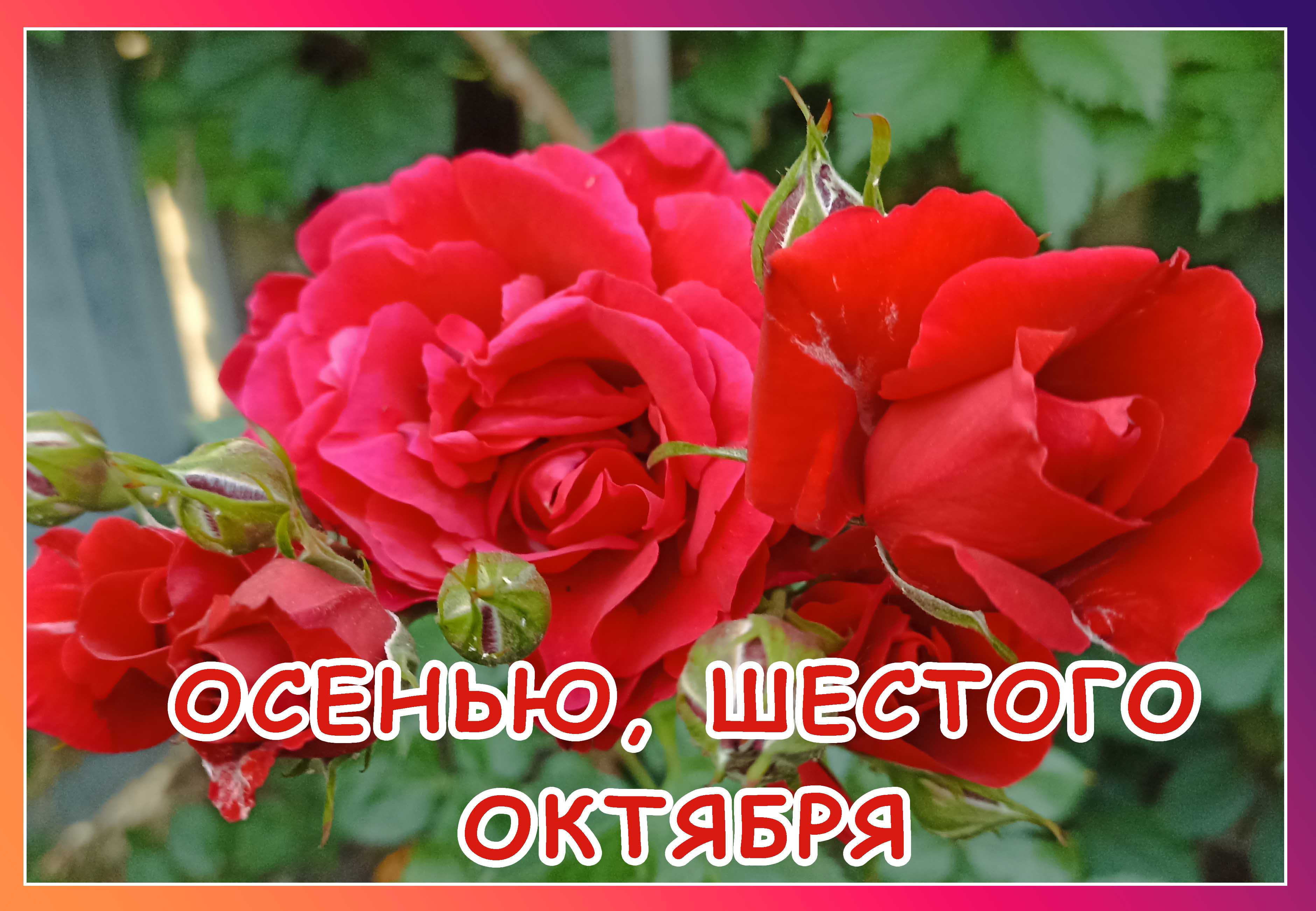 Осенью, шестого октября