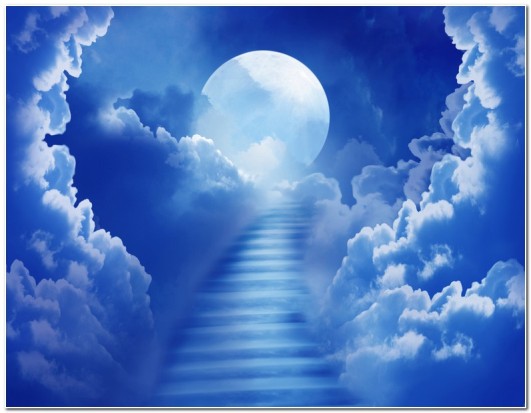 Мы видим то, что нам дано