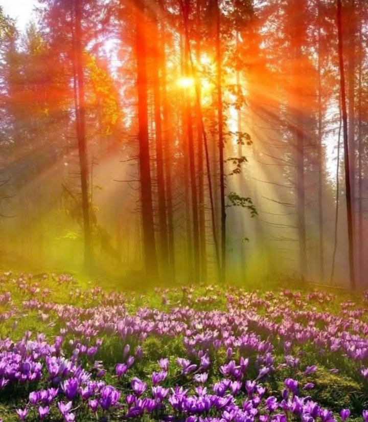 Засияет снова неба бирюза