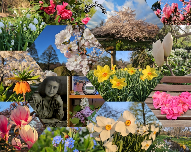 20 лет тебя нет! Berggarten. Апрель 2025