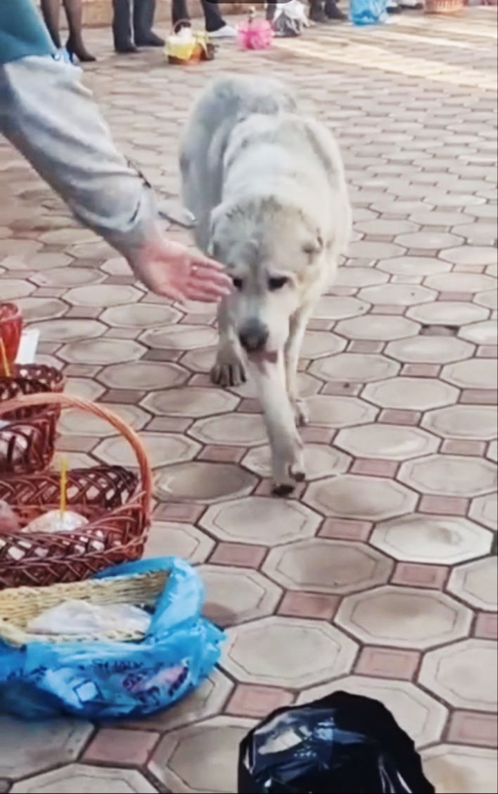 На паперти, перед церковью