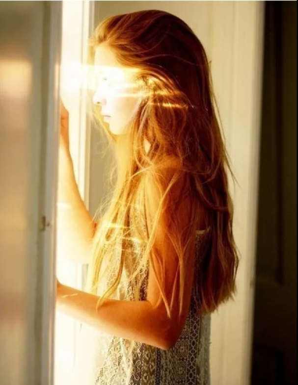 Доверия нет