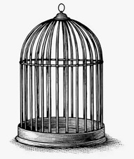 Я заперта в клетку