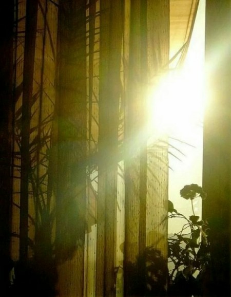 Утро в комнате