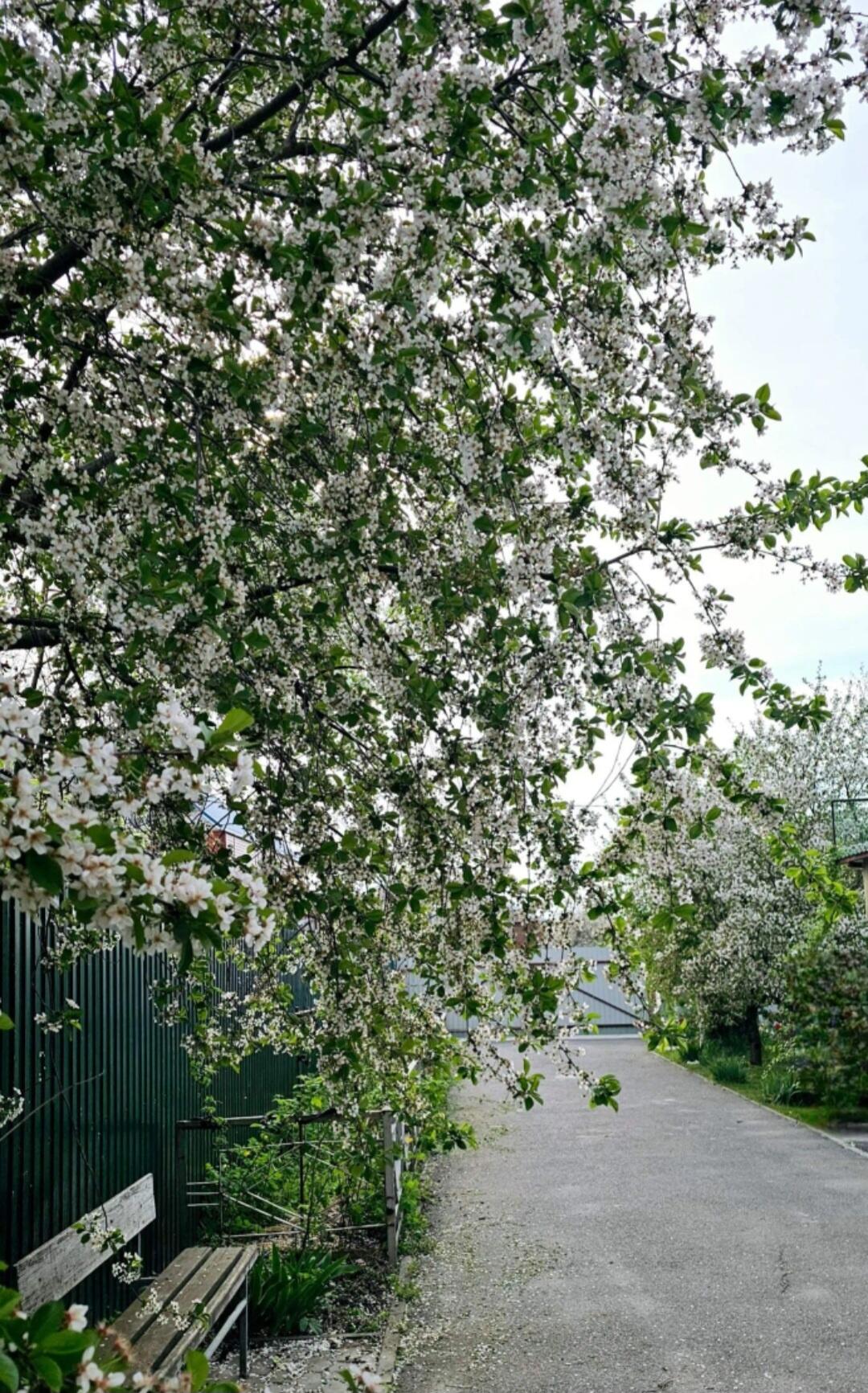 Утренняя зарисовка 71