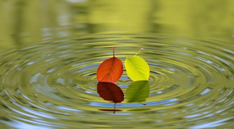 Судьба нам шепчет