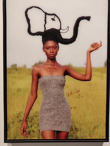 Сага семьи 3, 6