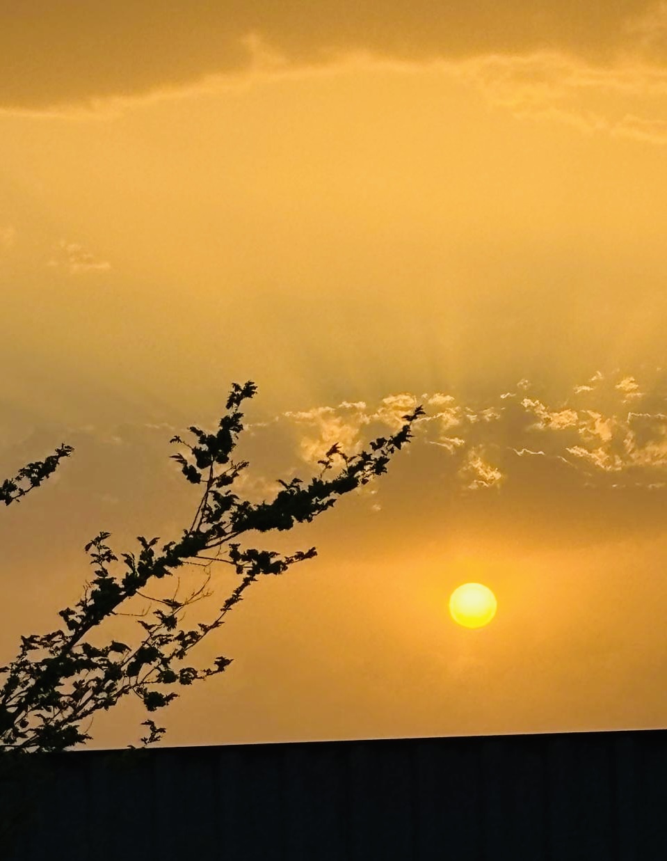 Магический закат в степи Прибалхашья